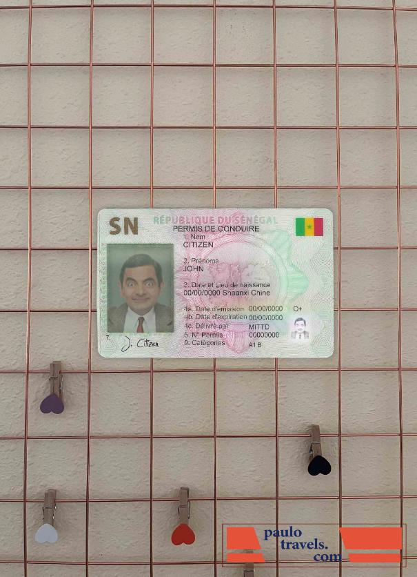 Senegal DL photolook FRONT PSD template